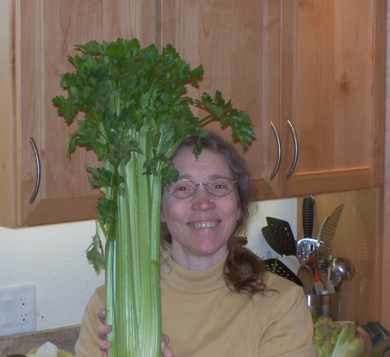 Celery.jpg