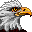 baldeagleleft: 
